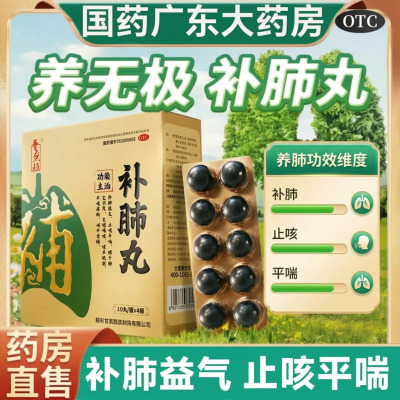 【养无极】补肺丸9g*10丸*4板/盒