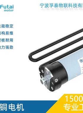 110V230V多扭矩机械管状电机铜质丝杆4分钟热保护电动卷闸窗FT45S