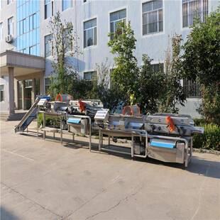 商用气泡式果蔬清洗机叶类蔬菜连续清洗设备猕猴桃喷淋水浴洗果机