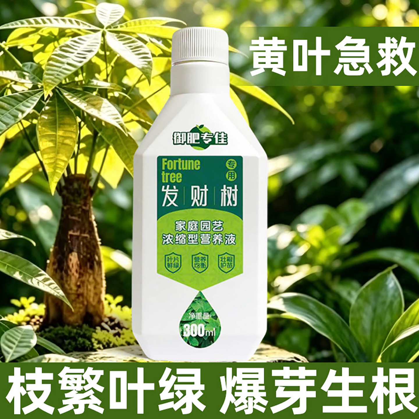 【发财树专用】家庭园艺发财树专用营养液水培生长土壤烂根氮肥