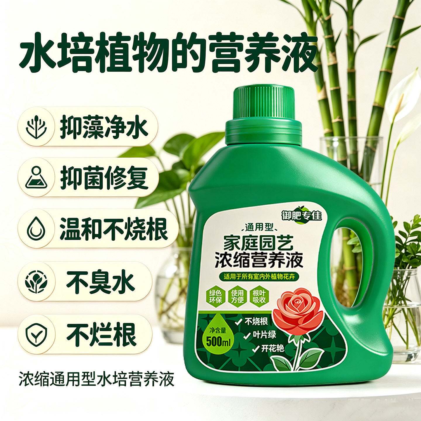 生根净水龟背竹专用水培植物