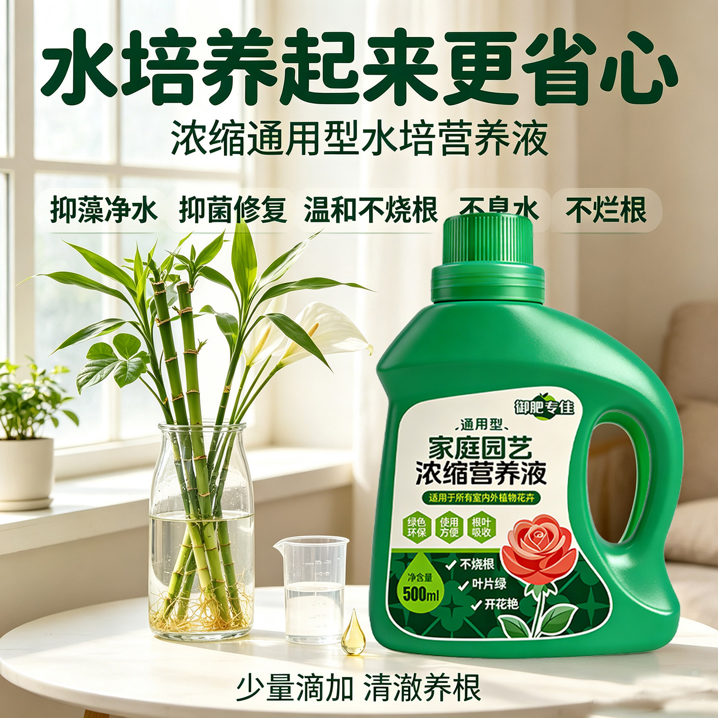 水培植物营养液通用型富贵竹