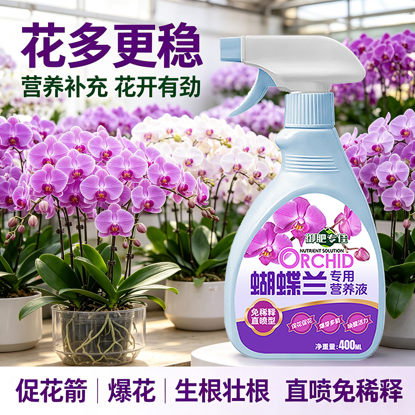 蝴蝶兰营养液促根壮苗花多色艳