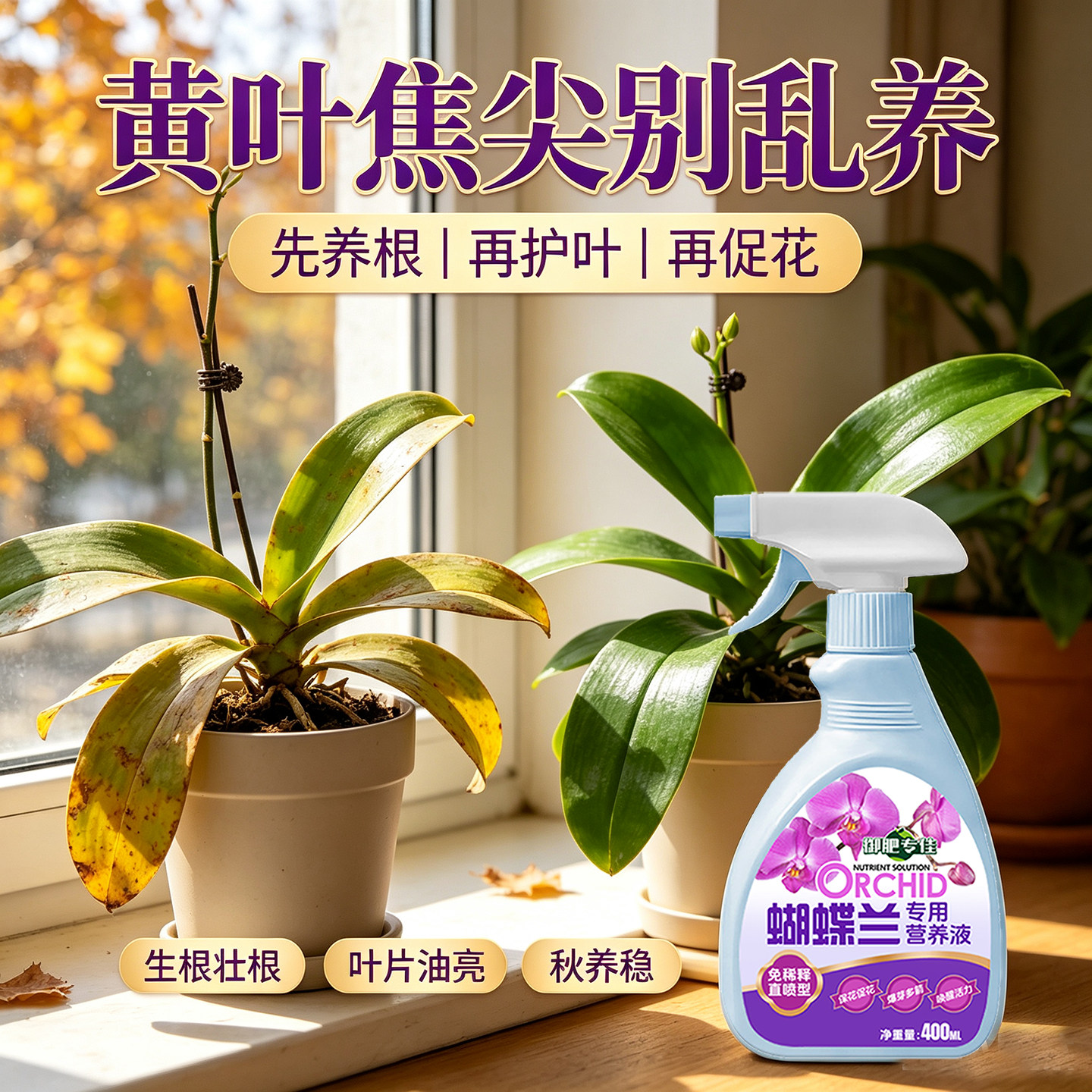 蝴蝶兰营养液花肥通用养花肥料