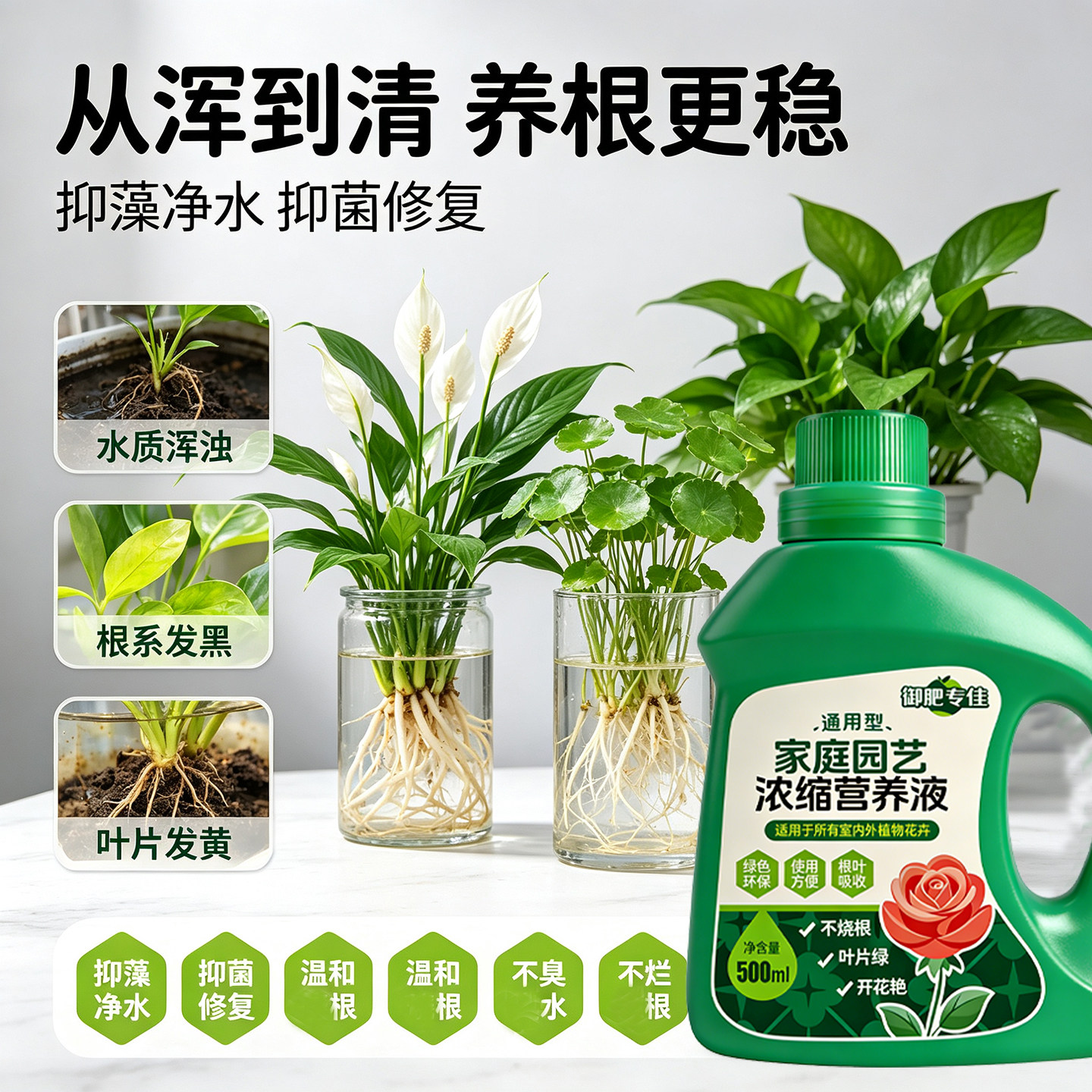 水培通用浓缩营养液发财树富贵竹