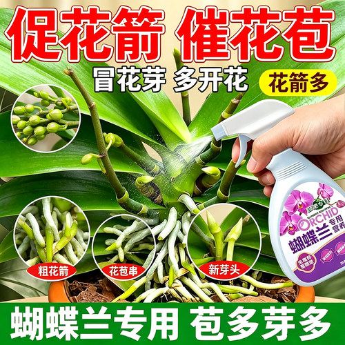 蝴蝶兰营养液免稀释直喷肥催花芽
