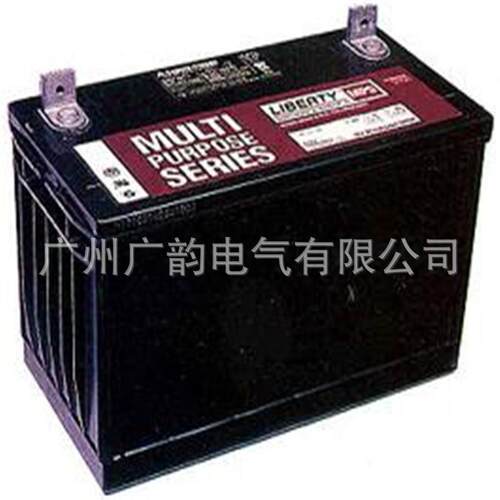 嘉兴大力神蓄电池MPS12-65 西恩迪蓄电池免维护12v65ah原厂
