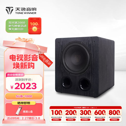 天逸（Winner）SUB-1000家用10吋有源低音炮音响家庭影院专业低音