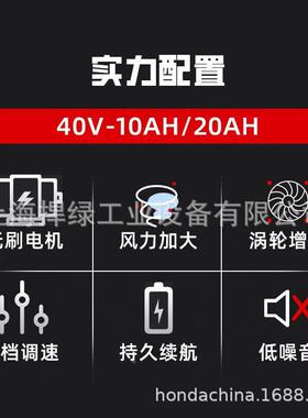 凯姿（KZZ）KZ950L电A动手式吹风机大提率功吹雪机锂电吹OQX尘吹