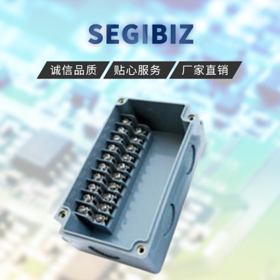 SEGIBIZ           DSAG-0816     接线盒