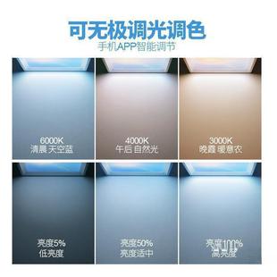 发二晴空灯厨房卫664代生间天光空智能清空灯吸顶灯青自然光蓝