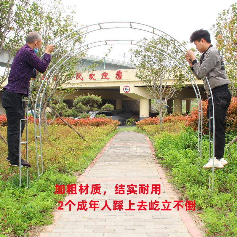 铁庭院艺葡萄引路架拱门架蔷薇爬藤架支子TB672741花月季加粗拱形