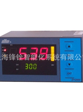 DY2000 DY21D多路巡检仪