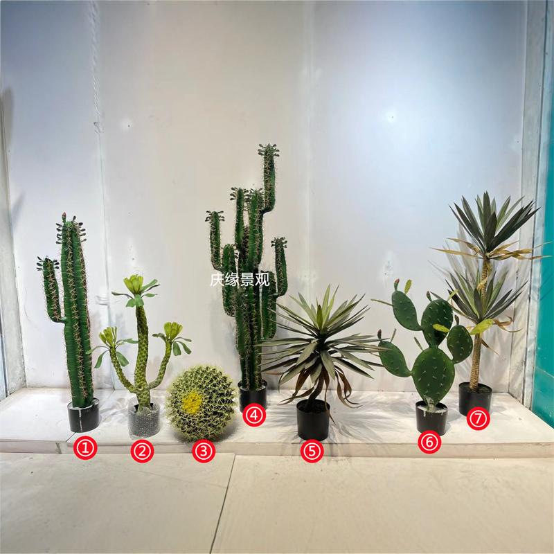 仿真仙人掌系列植物堆景仙人球仙人柱热带植物落地摆件橱窗造景