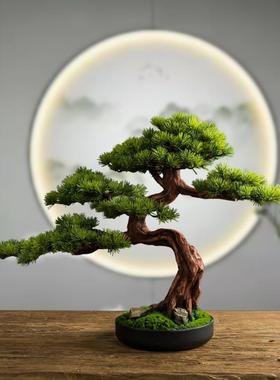 客厅实木迎客松酒松店桌面玄绿植物假松树罗汉ALth%loh盆景室内关
