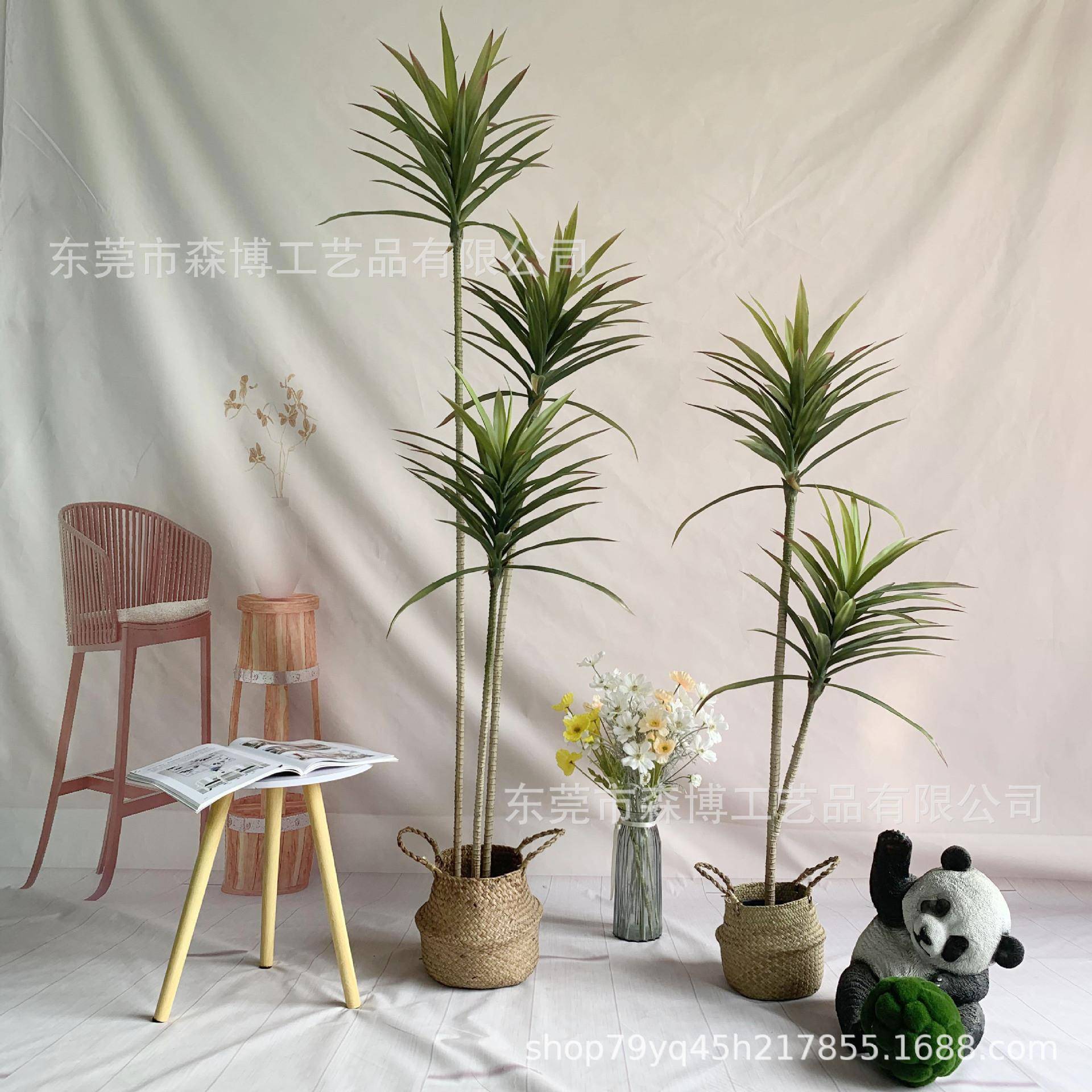 仿真多剑龙舌兰大型绿号落地植摆件热带沙漠植物盆景橱SB-DGJL-窗