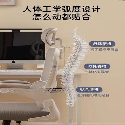 人体工学椅办公室护腰子电MJB竞久椅学生书桌学习椅坐家用电脑椅