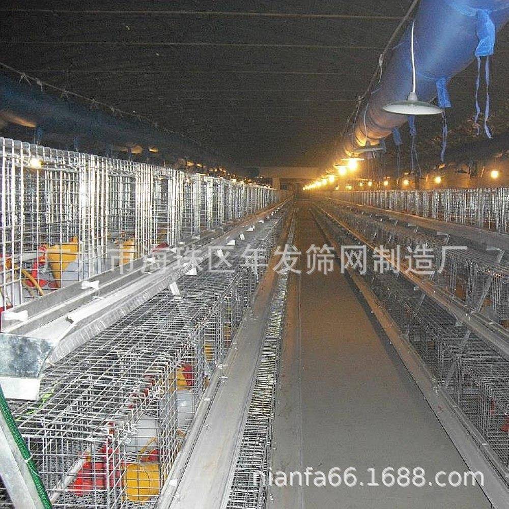 鸡场蛋/肉养笼子出口阶鸡梯式养殖蛋鸡笼子鸡UQA防生锈镀锌雏笼
