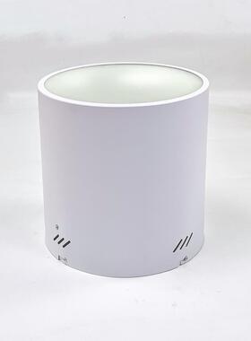 车站机候车厅商场库20W场FRQ大功率明装筒灯10寸高功率0ELD明装筒