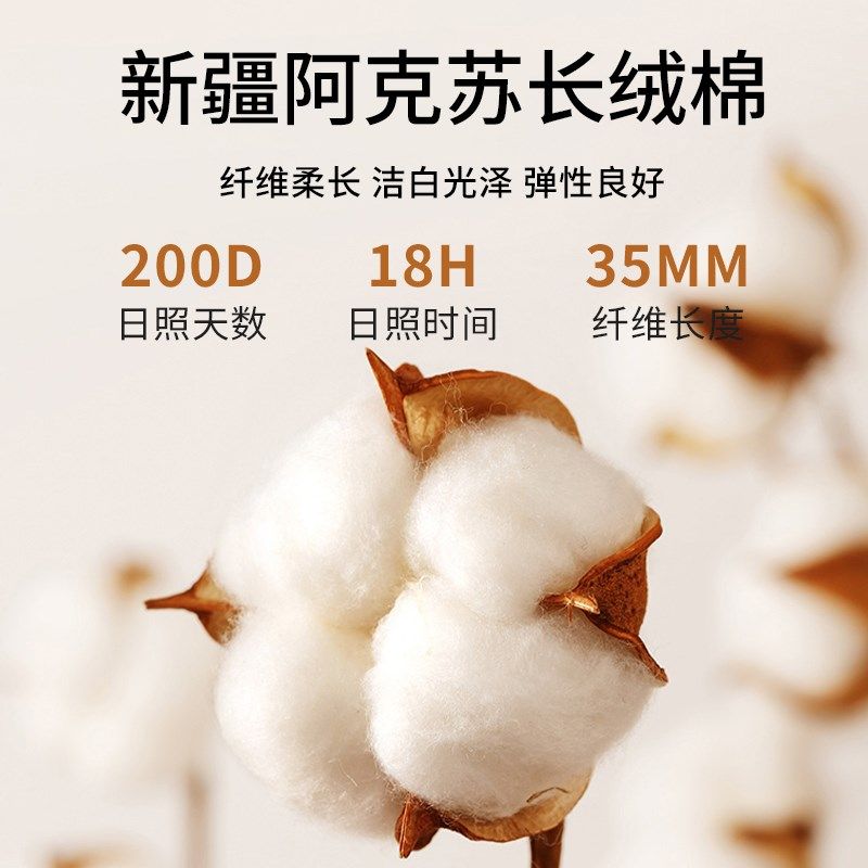 棉花垫被褥子床垫软垫家用垫学生宿舍单人双人专用棉絮被褥铺底炕,床上用品,床垫/床褥/床护垫/榻榻米床垫,淘宝优惠券,粉丝福利购,淘宝优惠卷