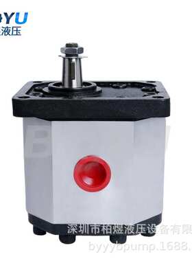 意大利罗茨齿轮泵03ZAG45C064D用于工业 制作业 厂家直发 售后快