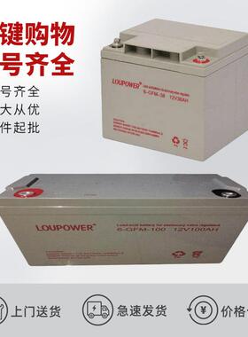 LOUPOWER蓄电池6-GFM-38 莱力免维护12V系列 直流屏/UPS电源