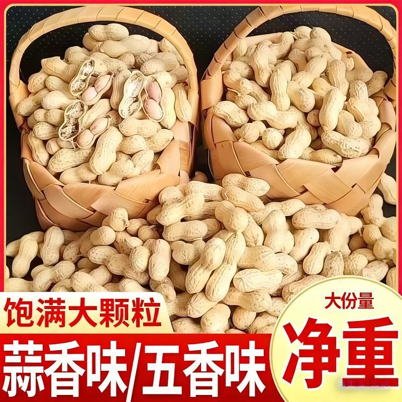 【新货】精选1斤5斤小珍珠花生带壳炒蒜香五香原味熟花生零食下酒