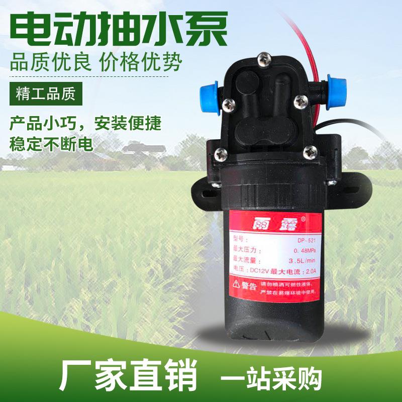 厂家直供电动喷雾器电机12V农用打药低耗纯铜电机内回流隔膜水泵