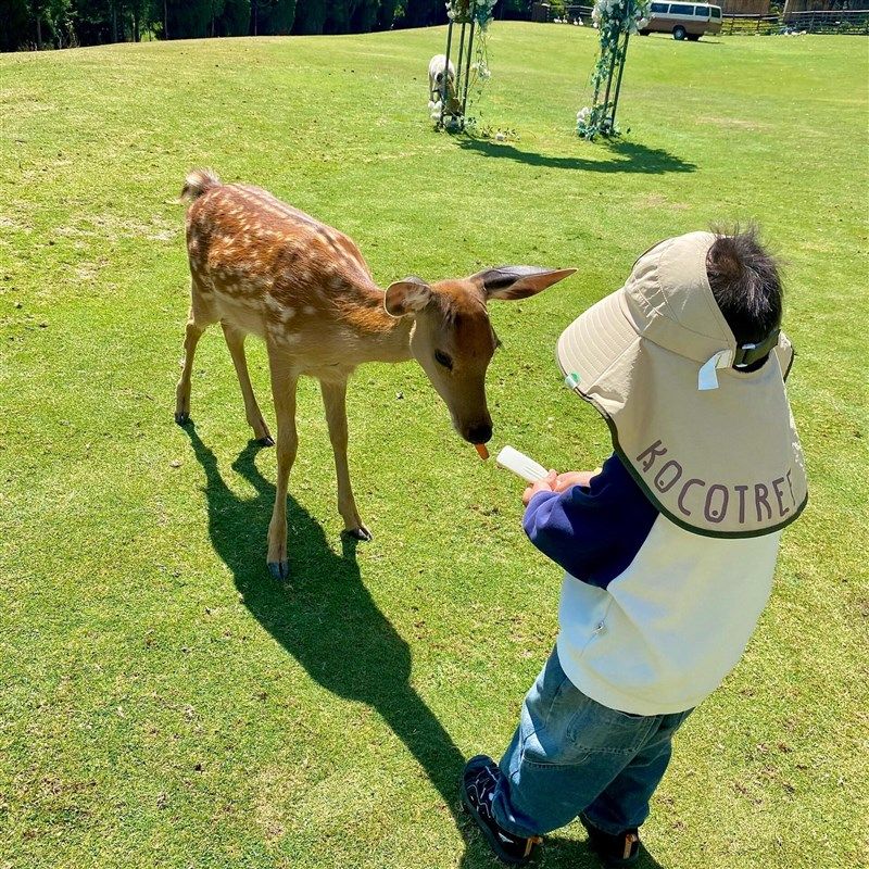 儿童防晒帽全包围大帽檐轻便不闷户外帽子男孩护脖子空顶遮阳帽女