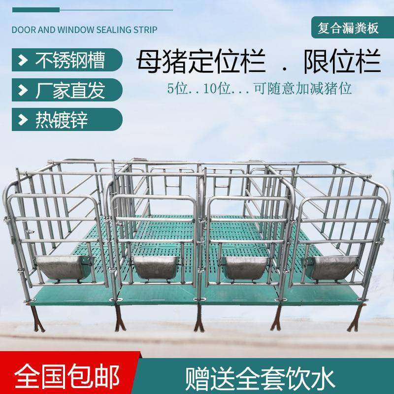 加落地式母猪定位栏限位猪限用栏位UJN养栏猪设备新款厚母猪位栏