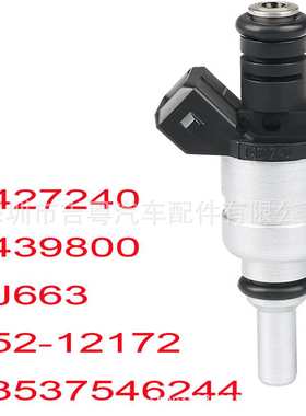 13537546244 适用于宝马喷油嘴 1427240 852-12172 FJ491 FJ663