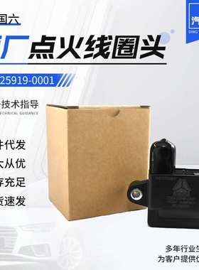 天然气发动机配件重汽玉柴锡柴潍柴202V25919-0001 点火线圈头