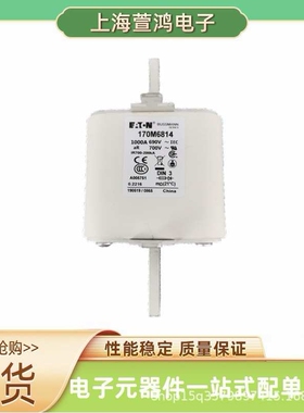 170M7179 170M7180 170M7181 170M7182原厂 低压熔断器保护器