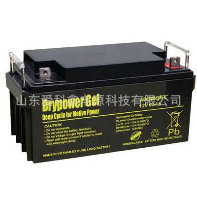 Drypower蓄电池12GB65C 12v65ah 太阳能直流屏铅酸蓄电池