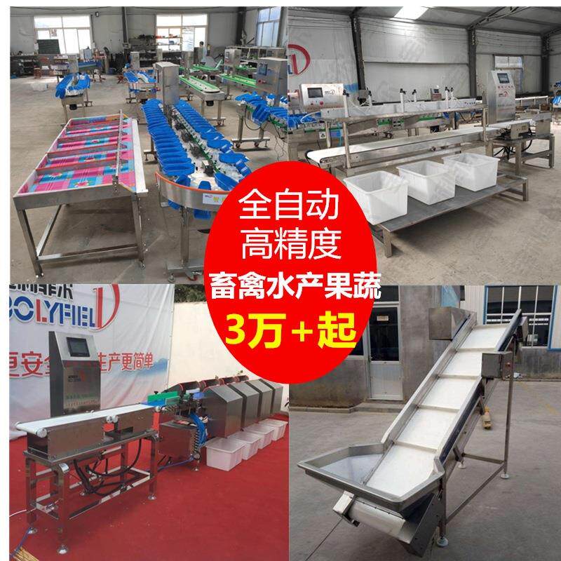 皮带式重量分拣机 自动分级鸡爪鸭大小海参牡蛎鱼 料盒称重分选机