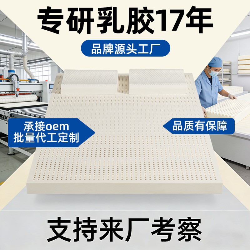 金世缘泰国进口天然乳胶床垫一体成型榻榻米软垫卧室床垫乳胶垫子
