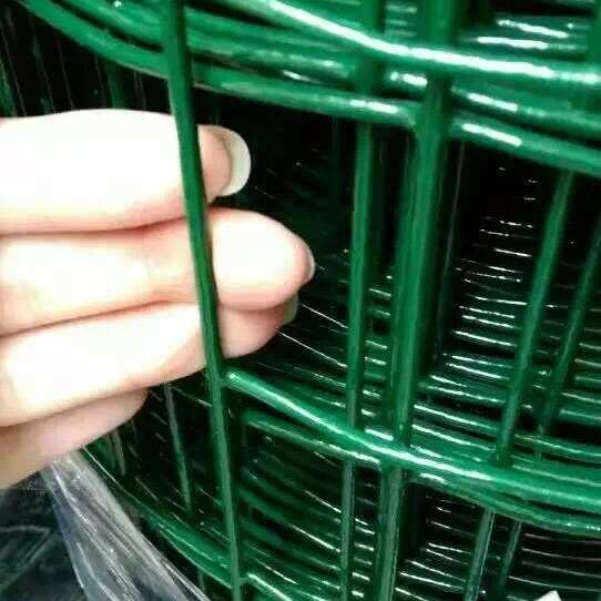 荷兰网养殖户外养鸡铁丝网防锈铁丝网圈地隔离围栏硬塑钢丝网栅栏