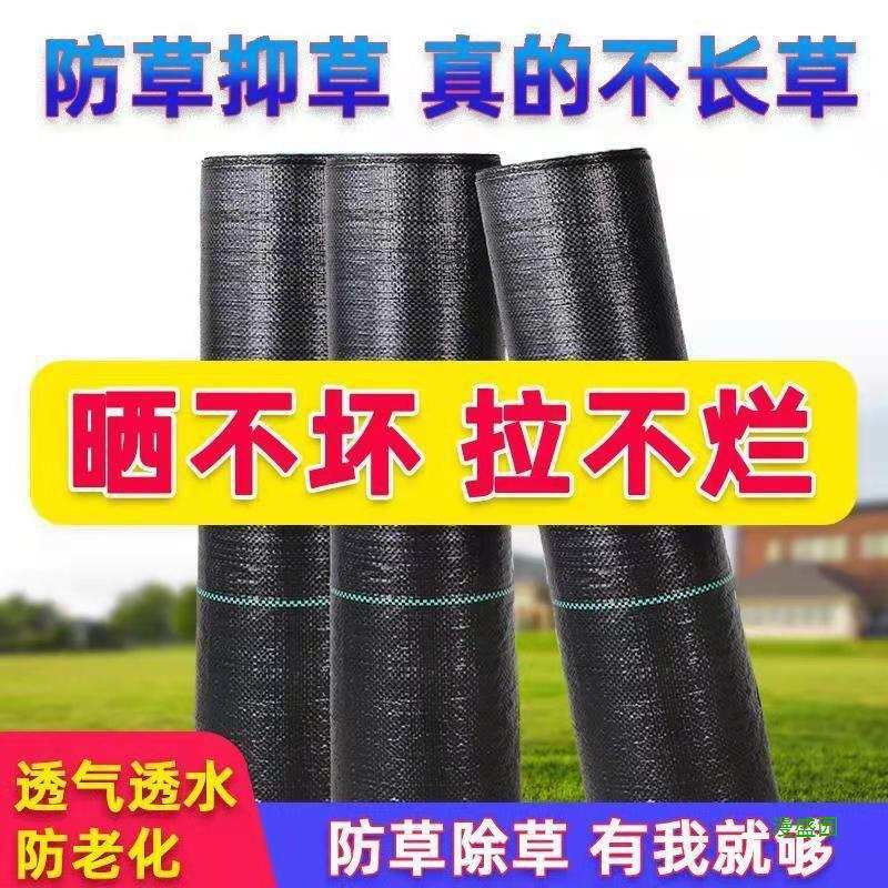 地膜园艺地布加厚遮草防草布果树除草果园加厚抗老化盖草布布农用