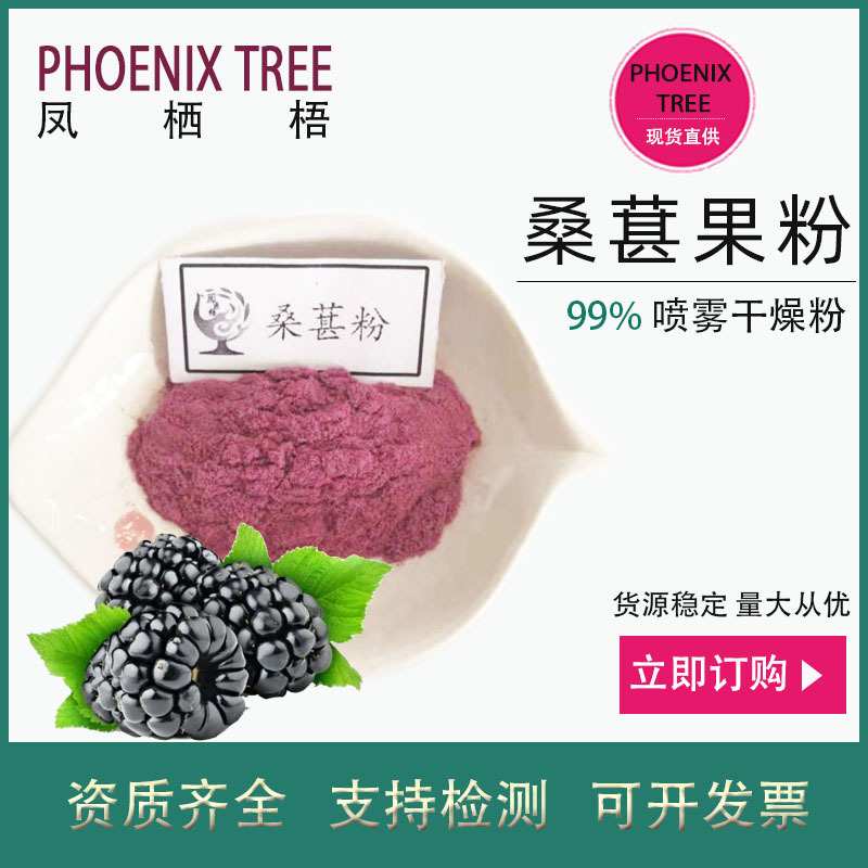 500g起订水溶桑葚果粉 食品级桑葚提取物 固体饮料原料桑葚果汁粉