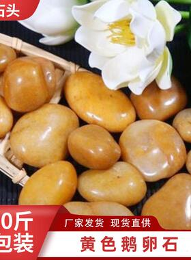 黄色鹅卵石园林景观抛光雨花石工程铺路庭院造景石头石砂石