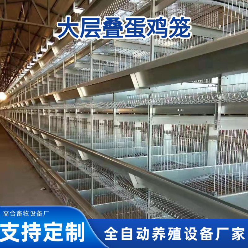热镀锌全自动喂料清粪叠层鸡笼