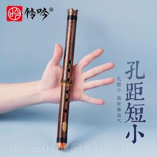高档初学洞箫零基础儿F紫短竹乐萧器迷便携高级六孔G调E专业短童