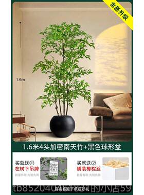 高档南客天竹彷真绿色植物高件端轻奢厅落大型室内户地外高品质盆