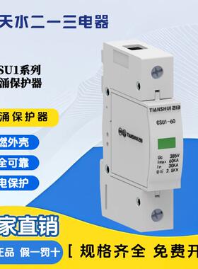 天水二一三GSU1系列 电涌保护器 GSU1-40/550-1P~4P 全系列