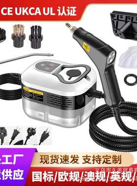 工厂直销新款高温高压蒸汽清洗机布艺厨房油烟清洁机Steam Cleane