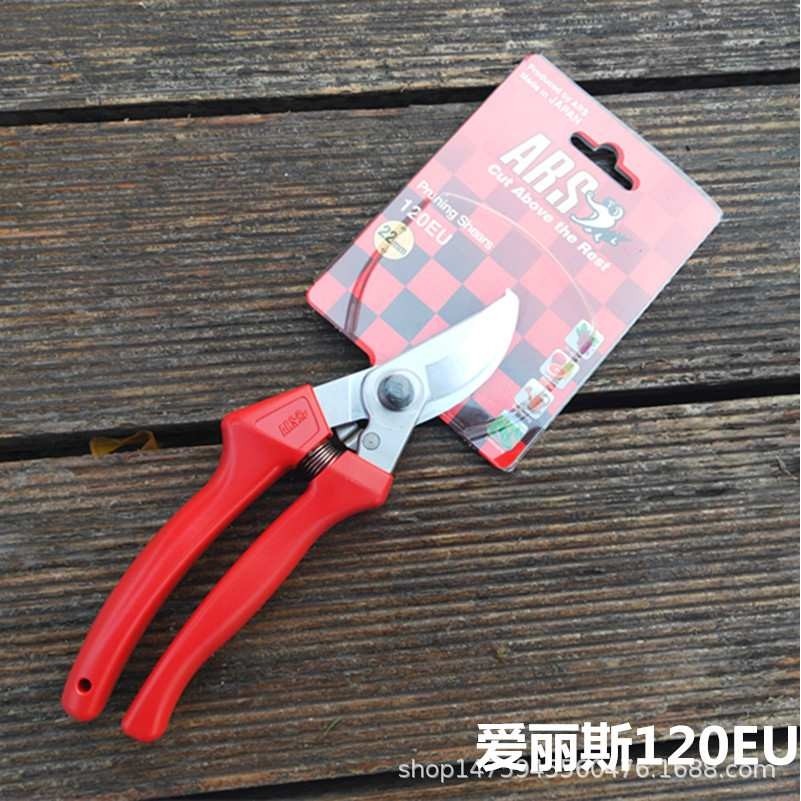 进口爱丽斯ARS爱丽斯120EU枝剪花剪园艺剪园林工具剪刀修枝剪,3C数码配件,摄像机配件,淘宝优惠券,粉丝福利购,淘宝优惠卷
