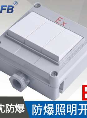 SWB-10A/III防爆照明开关三开单控双控电压220V防爆灯具墙壁开关