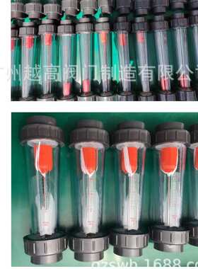 LZS-15 LZS-32 LZS-50塑料管道流量计LD多灵双环余姚振兴科奥金泰
