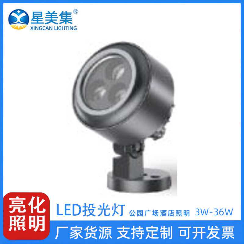 6W 18W 36W 72W 景观亮化工程七彩户外投光灯园林道路楼宇投射灯