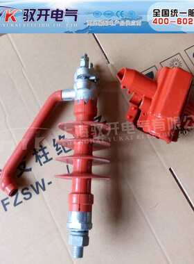 防雷绝缘子 FGNC-XD 验电接地型防雷悬式绝缘子